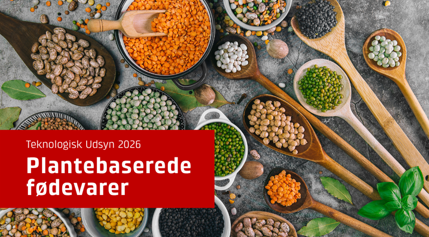 Plantebaserede fødevarer